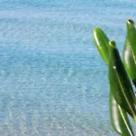 Iris- Indipendente Sul Mare بيت للعطل سورسو