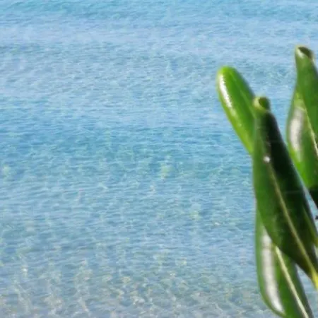 Iris- Indipendente Sul Mare Sorso