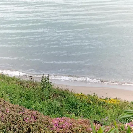 Iris- Indipendente Sul Mare