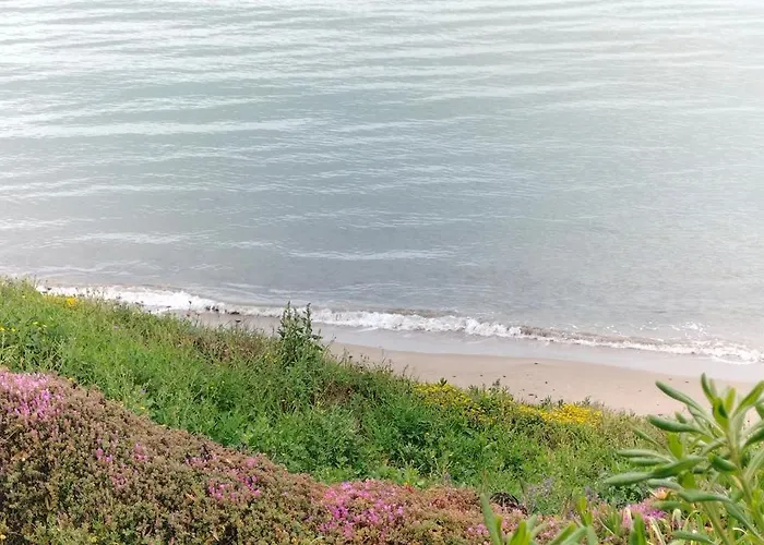 Iris- Indipendente Sul Mare