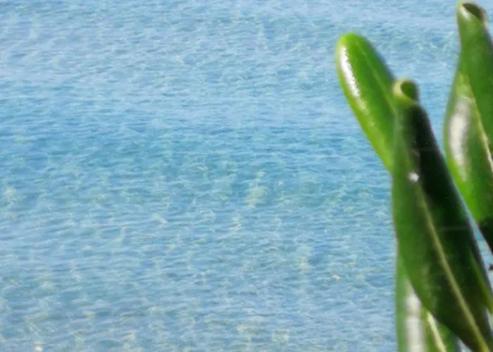 Iris- Indipendente Sul Mare Casa vacanze Sorso